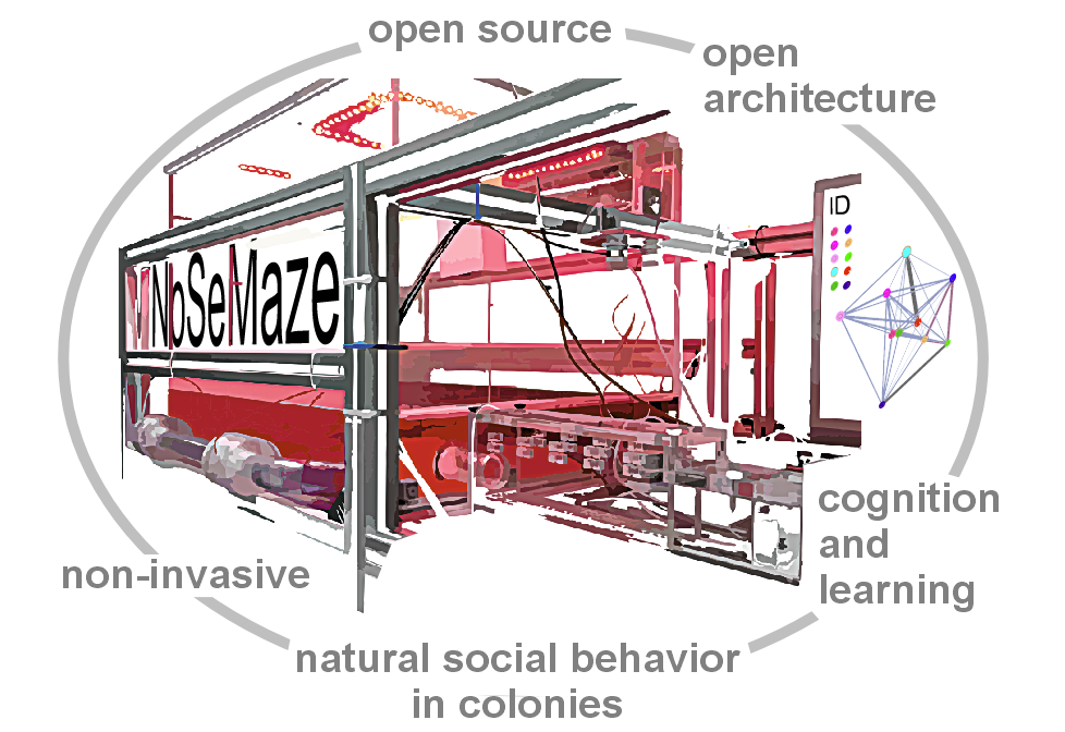 NoSeMaze - non-invasive sensor-rich maze
